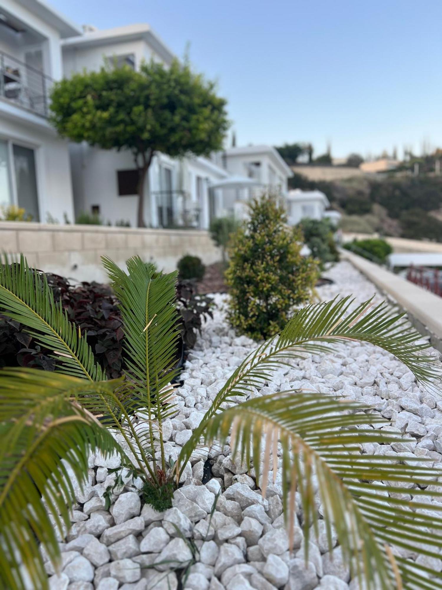 Pissouri Image Lejlighed Eksteriør billede